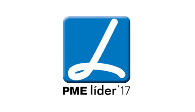 STEP Consolidated PME LÍDER 2017